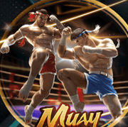 Arena333 APK Arena333 APK APK icon