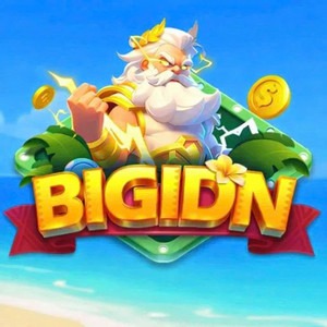BIGIDN APK icon